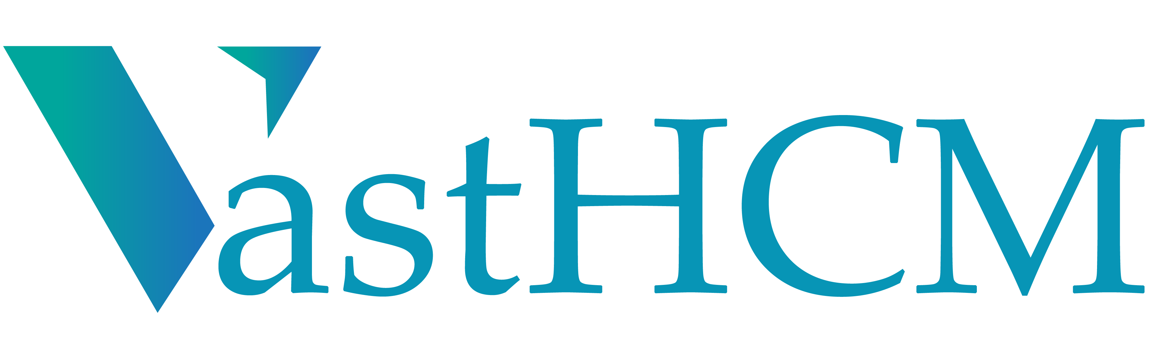 VastHCM logo